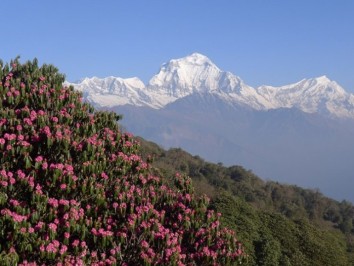 Poon Hill Trekking Package