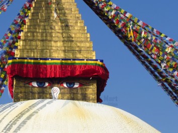 Kathmandu Day Tour