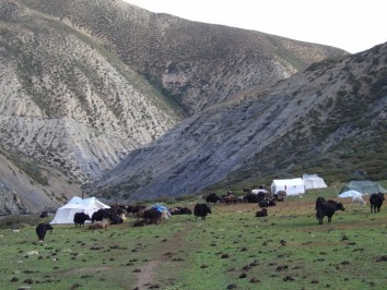 Upper Dolpo Trek