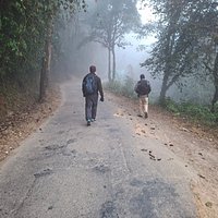 Inspire10030029163