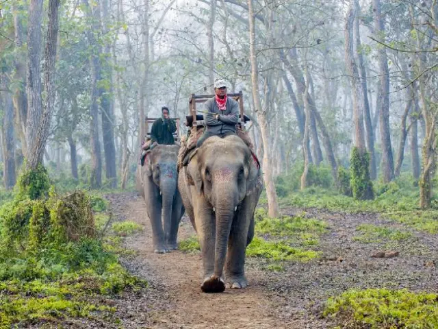 Jungle Safari in Nepal