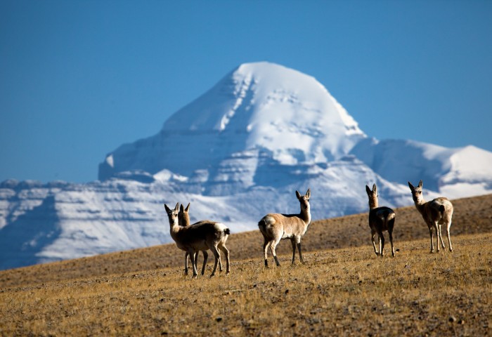 Simikot Kailash Lhasa Tour