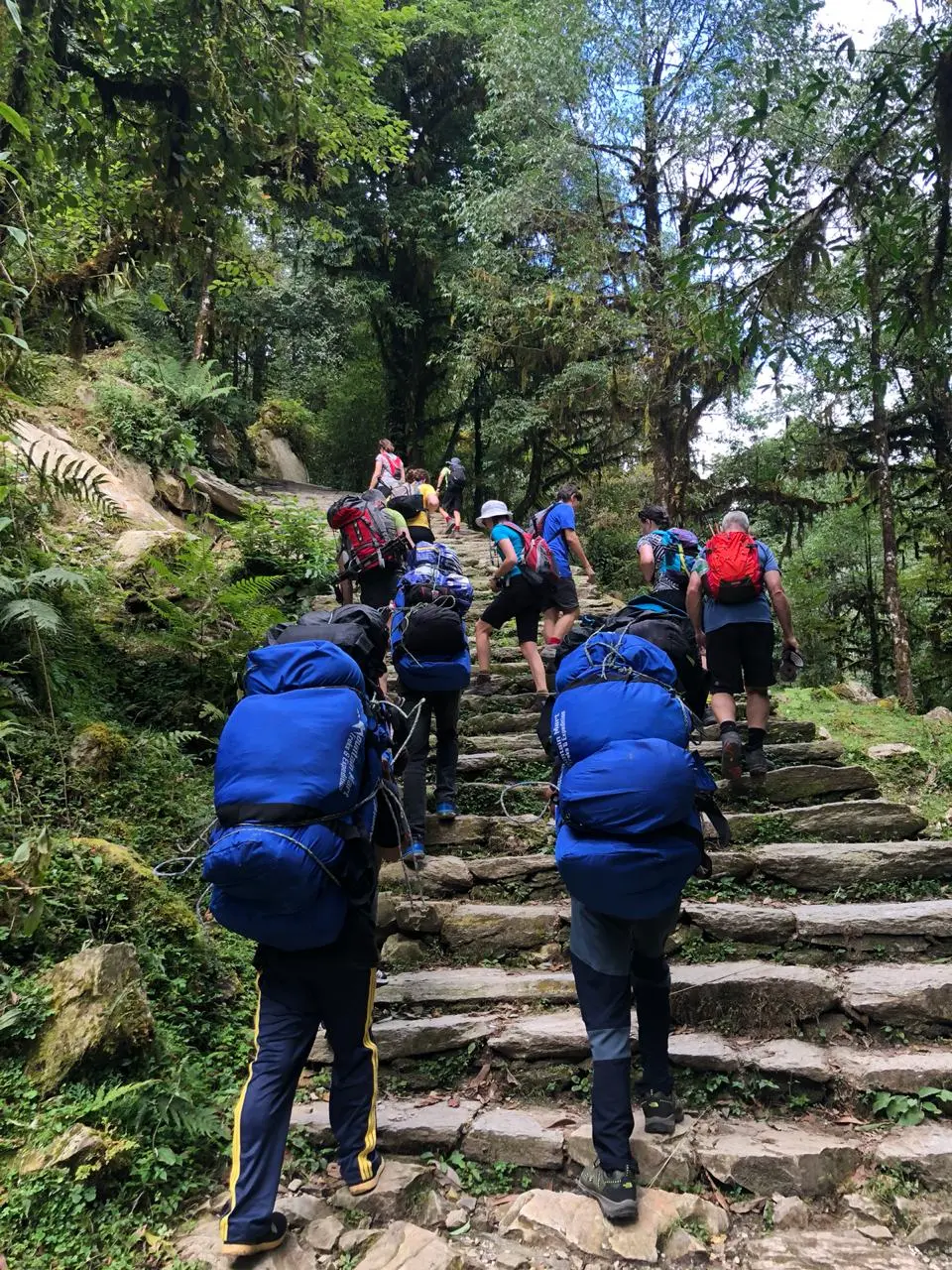 Trekking in Nepal in January - Nepal Weather January [ How Cold ] 2026-2027